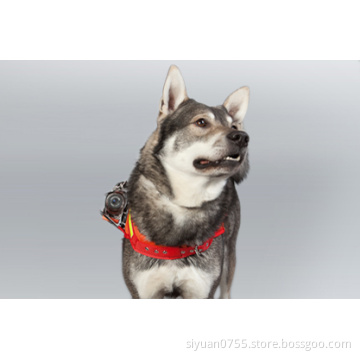 Dog Camera Vest With HD 1080p Waterproof Camera